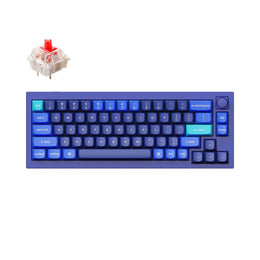 Keychron Q2 QMK VIA custom mechanical keyboard 65 percent layout full aluminum blue frame B knob for Mac Windows iOS RGB backlight with hot swappable Gateron G Pro switch red